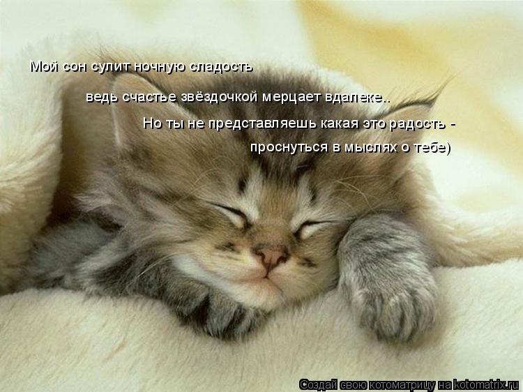 Котоматрица: ведь счастье звёздочкой мерцает вдалеке.. Мой сон сулит ночную сладость Но ты не представляешь какая это радость - проснуться в мыслях о теб