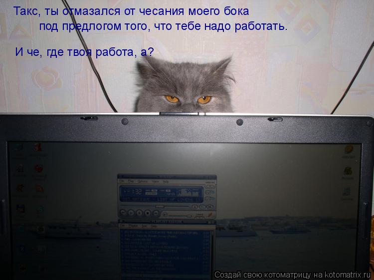 Котоматрица: Такс, ты отмазался от чесания моего бока под предлогом того, что тебе надо работать. И че, где твоя работа, а?