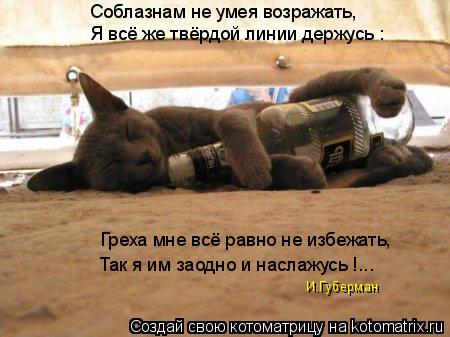 Котоматрица: Соблазнам не умея возражать, Греха мне всё равно не избежать, Так я им заодно и наслажусь !... Я всё же твёрдой линии держусь : И.Губерман