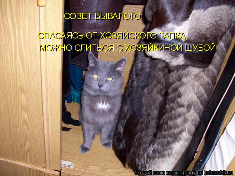МОЖНО СЛИТЬСЯ С ХОЗЯЙКИНОЙ ШУБОЙ СПАСАЯСЬ ОТ ХОЗЯЙСКОГО ТАПКА, СОВЕТ БЫВАЛОГО:... Котоматрица: МОЖНО СЛИТЬСЯ С ХОЗЯЙКИНОЙ ШУБОЙ СПАСАЯСЬ ОТ ХОЗЯЙСКОГО ТАПКА, СОВЕТ БЫВАЛОГО: