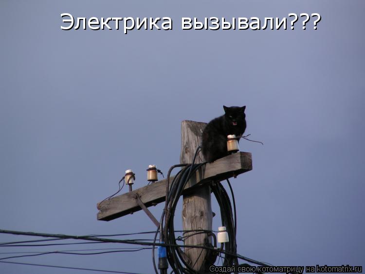 Котоматрица: Электрика вызывали???