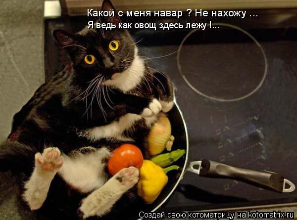 Какой с меня навар ? Не нахожу ... Я ведь как овощ здесь лежу !...... Котоматрица: Какой с меня навар ? Не нахожу ... Я ведь как овощ здесь лежу !...