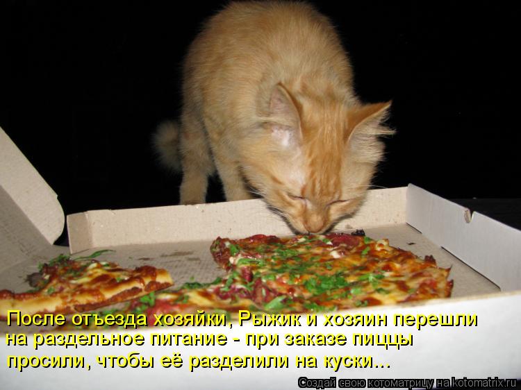 После отъезда хозяйки, Рыжик и хозяин перешли на раздельное питание - при заказе пиццы просили, чтобы... Котоматрица: После отъезда хозяйки, Рыжик и хозяин перешли на раздельное питание - при заказе пиццы просили, чтобы её разделили на куски...
