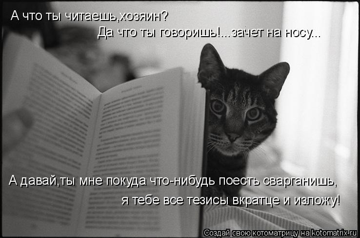 А что ты читаешь,хозяин? Да что ты говоришь!...зачет на носу... А давай,ты мне покуда что-нибудь поес... Котоматрица: А что ты читаешь,хозяин? Да что ты говоришь!...зачет на носу... А давай,ты мне покуда что-нибудь поесть сварганишь, я тебе все тезисы вкратце и