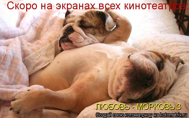 http://kotomatrix.ru/images/lolz/2009/11/05/396033.jpg