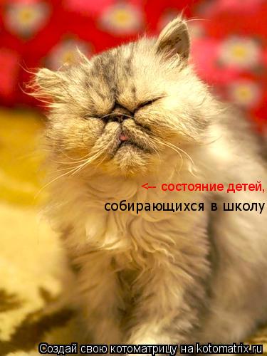 <-- состояние детей, собирающихся в школу... Котоматрица: <-- состояние детей, собирающихся в школу