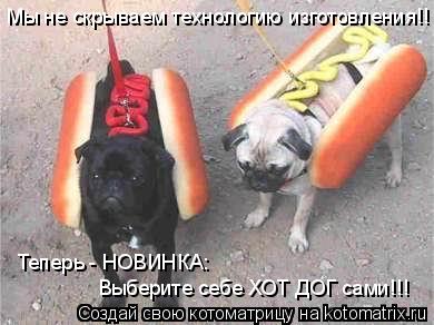 Мы не скрываем технологию изготовления!! Выберите себе ХОТ ДОГ сами!!! Теперь - НОВИНКА:... Котоматрица: Мы не скрываем технологию изготовления!! Выберите себе ХОТ ДОГ сами!!! Теперь - НОВИНКА: