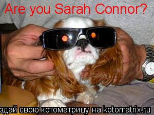 Are you Sarah Connor?... Котоматрица: Are you Sarah Connor?