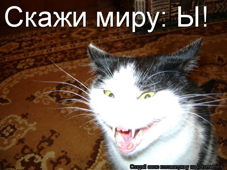 Скажи миру: Ы!... Котоматрица: Скажи миру: Ы!