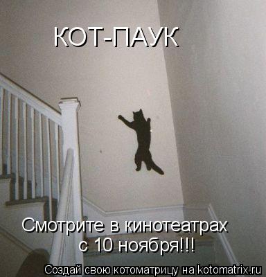 КОТ-ПАУК Смотрите в кинотеатрах с 10 ноября!!!... Котоматрица: КОТ-ПАУК Смотрите в кинотеатрах с 10 ноября!!!
