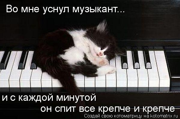Котоматрица: Во мне уснул музыкант... и с каждой минутой  он спит все крепче и крепче