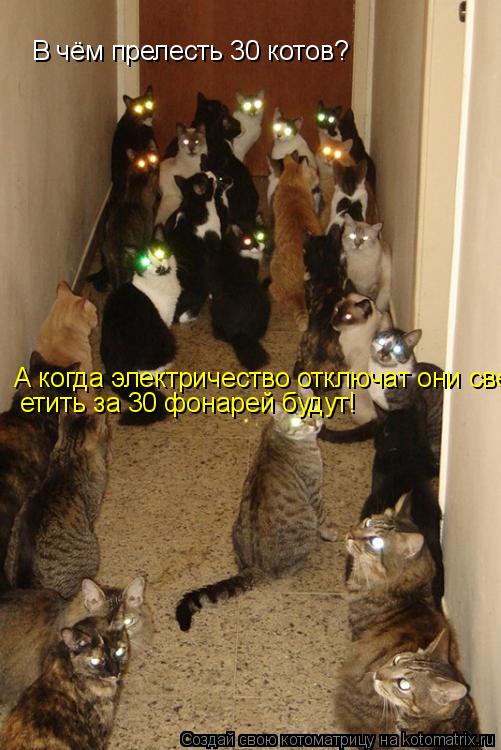 Котоматрица: В чём прелесть 30 котов? А когда электричество отключат они светить за 30 фонарей будут! етить за 30 фонарей будут!