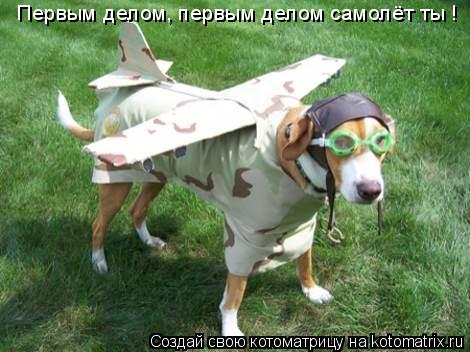 Первым делом, первым делом самолёт ты !... Котоматрица: Первым делом, первым делом самолёт ты !