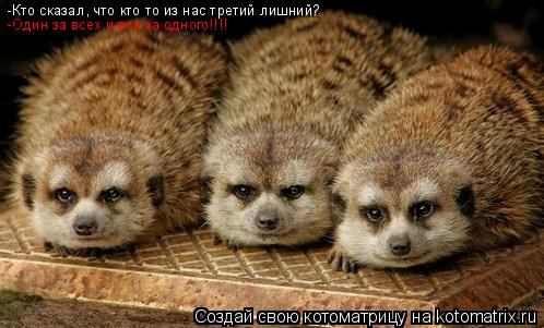 -Кто сказал, что кто то из нас третий лишний? -Один за всех и все за одного!!!!... Котоматрица: -Кто сказал, что кто то из нас третий лишний? -Один за всех и все за одного!!!!