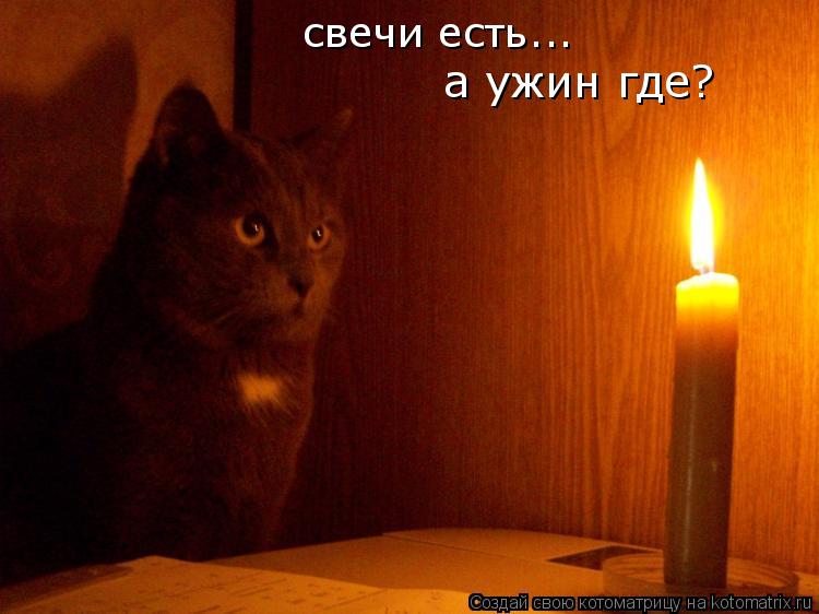 Котоматрица: свечи есть... а ужин где?