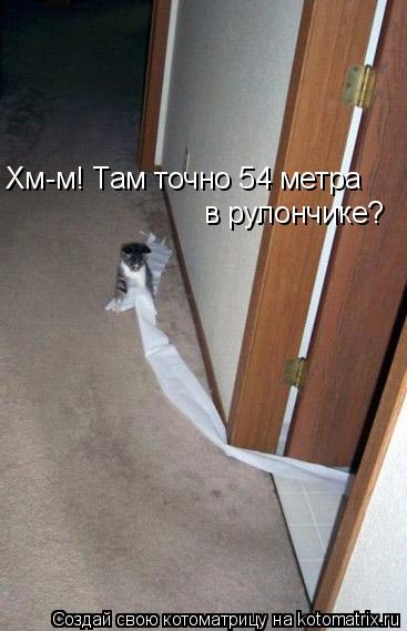 Котоматрица: Хм-м! Там точно 54 метра в рулончике?
