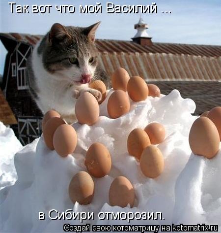 Котоматрица: Так вот что мой Василий ... в Сибири отморозил.