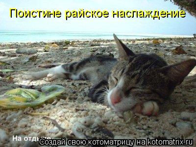 Котоматрица: Поистине райское наслаждение