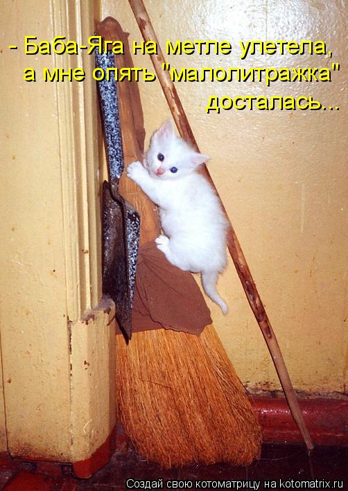 - Баба-Яга на метле улетела, а мне опять "малолитражка" досталась...... Котоматрица: - Баба-Яга на метле улетела, а мне опять "малолитражка" досталась...