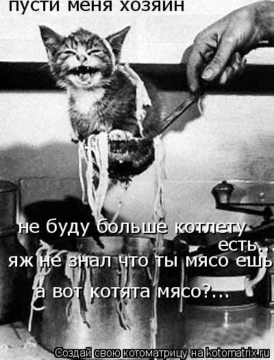 Котоматрица: пусти меня хозяин  не буду больше котлету  есть...  яж не знал что ты мясо ешь! а вот котята мясо?...