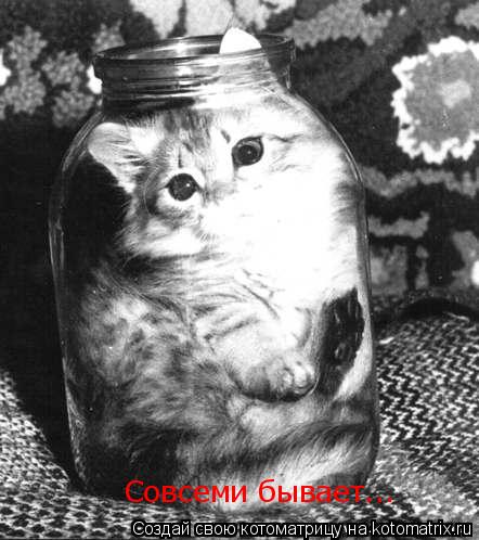 Котоматрица: Совсеми бывает...