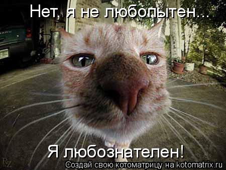 Нет, я не любопытен... Я любознателен!... Котоматрица: Нет, я не любопытен... Я любознателен!