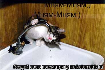 Мням-Мням;) Мням-Мням;)... Котоматрица: Мням-Мням;) Мням-Мням;)