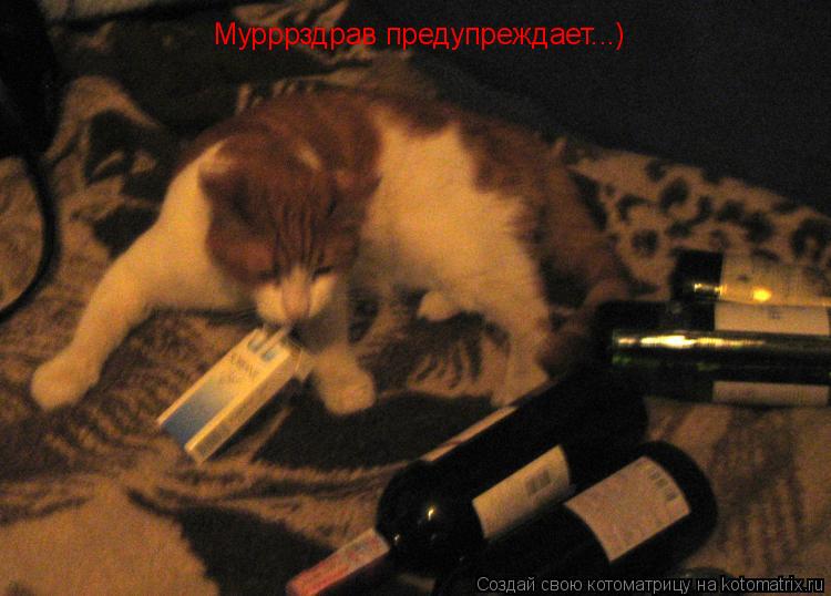 Мурррздрав предупреждает...)... Котоматрица: Мурррздрав предупреждает...)