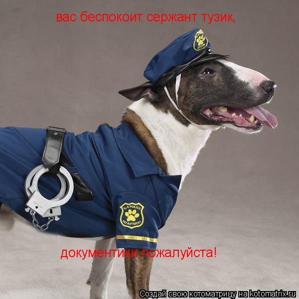 документики пожалуйста! вас беспокоит сержант тузик, вас беспокоит сержант тузик... Котоматрица: документики пожалуйста! вас беспокоит сержант тузик, вас беспокоит сержант тузик