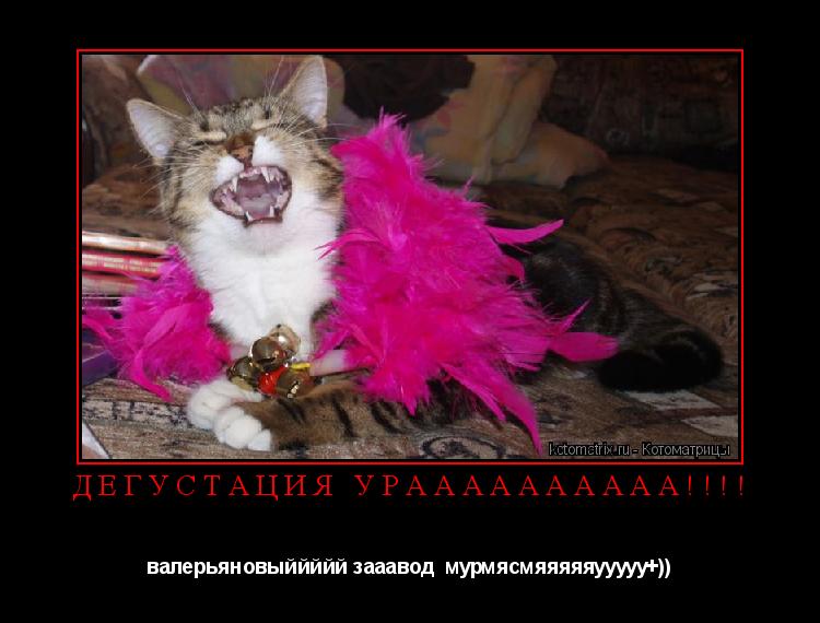 Котоматрица: дегустация ураааааааааа!!!! валерьяновыййййй зааавод  мурмясмяяяяяууууу+))