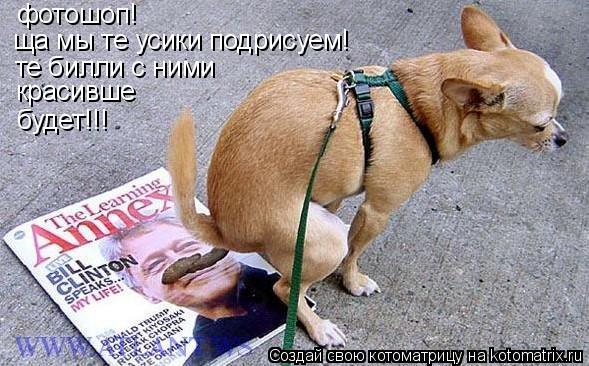 Котоматрица: фотошоп! ща мы те усики подрисуем! те билли с ними  красивше будет!!!