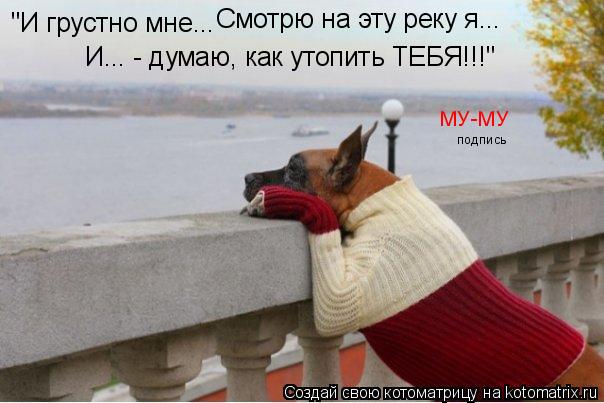 Котоматрица: "И грустно мне... Смотрю на эту реку я... И... - думаю, как утопить ТЕБЯ!!!" подпись МУ-МУ