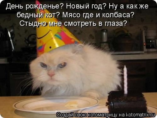 Котоматрица: День рожденье? Новый год? Ну а как же бедный кот? Мясо где и колбаса? Стыдно мне смотреть в глаза?