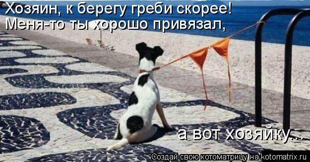 Хозяин, к берегу греби скорее! Меня-то ты хорошо привязал, а вот хозяйку...... Котоматрица: Хозяин, к берегу греби скорее! Меня-то ты хорошо привязал, а вот хозяйку...