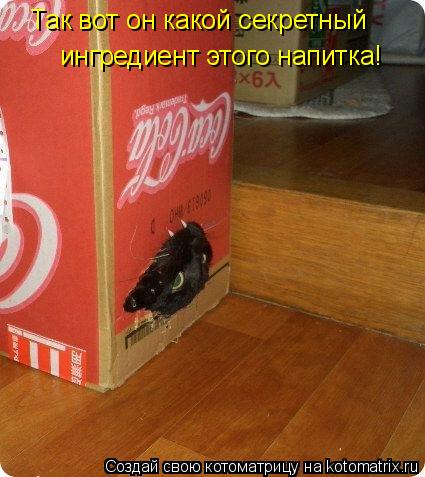 Котоматрица: Так вот он какой секретный  ингредиент этого напитка!