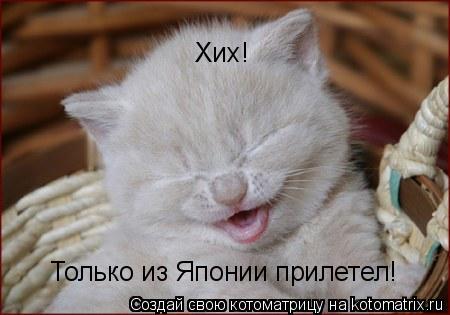 Хих! Только из Японии прилетел!... Котоматрица: Хих! Только из Японии прилетел!
