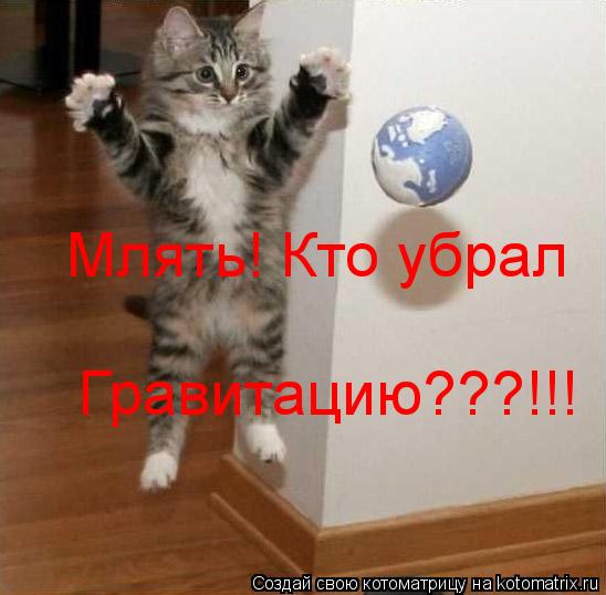 Млять! Кто убрал Гравитацию???!!!... Котоматрица: Млять! Кто убрал Гравитацию???!!!
