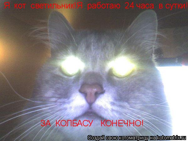 ЗА КОЛБАСУ КОНЕЧНО! Я кот светильник!Я работаю 24 часа в сутки!... Котоматрица: ЗА КОЛБАСУ КОНЕЧНО! Я кот светильник!Я работаю 24 часа в сутки!