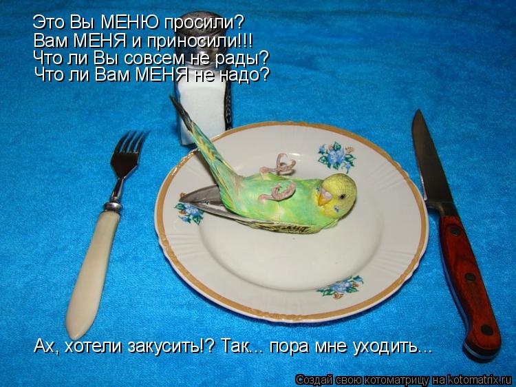 Это Вы МЕНЮ просили? Вам МЕНЯ и приносили!!! Что ли Вы совсем не рады? Что ли Вам МЕНЯ не надо? Ах, х... Котоматрица: Это Вы МЕНЮ просили? Вам МЕНЯ и приносили!!! Что ли Вы совсем не рады? Что ли Вам МЕНЯ не надо? Ах, хотели закусить!? Так... пора мне уходить...