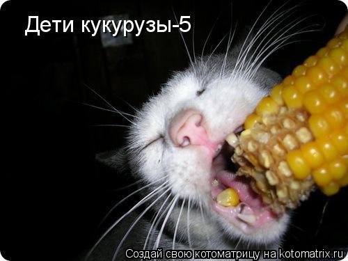 Котоматрица: Дети кукурузы-5