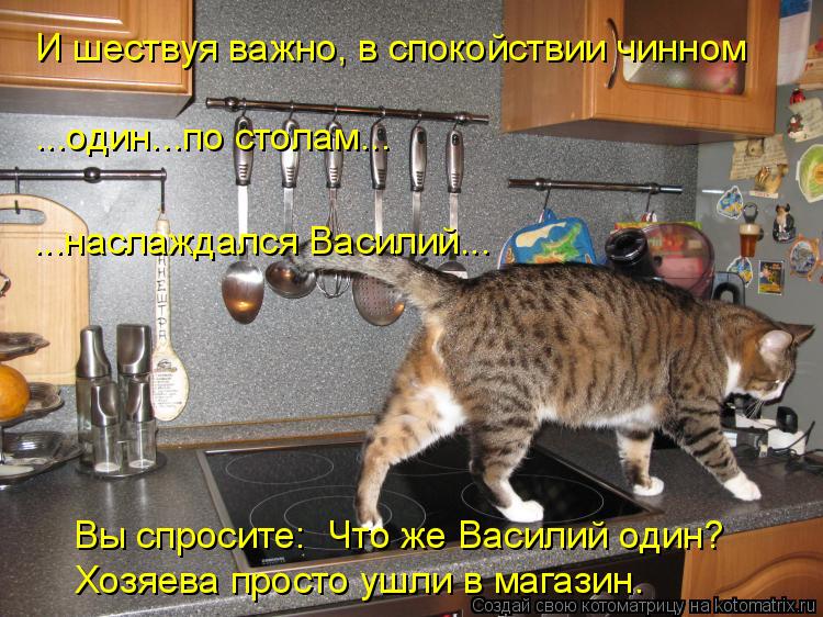 Котоматрица: И шествуя важно, в спокойствии чинном ...наслаждался Василий... Вы спросите: «Что же Василий один?» ...один...по столам... Хозяева просто ушли в м