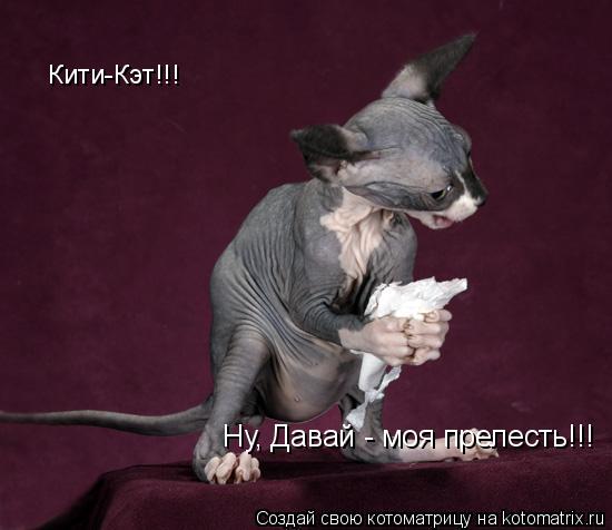 Котоматрица: Кити-Кэт!!!   Ну, Давай - моя прелесть!!!
