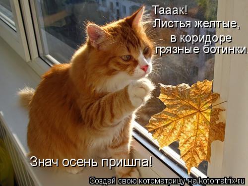 Котоматрица: Тааак!  Листья желтые, в коридоре  грязные ботинки...  Знач осень пришла!