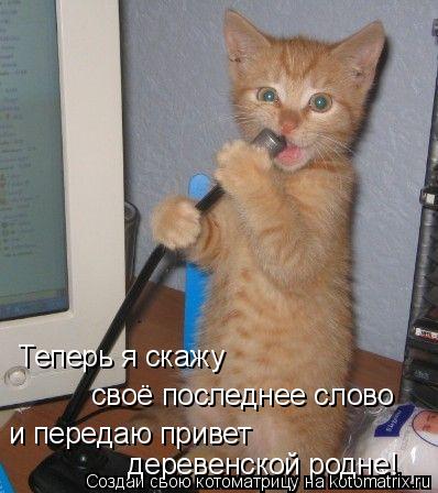 Котоматрица: Теперь я скажу своё последнее слово и передаю привет деревенской родне!