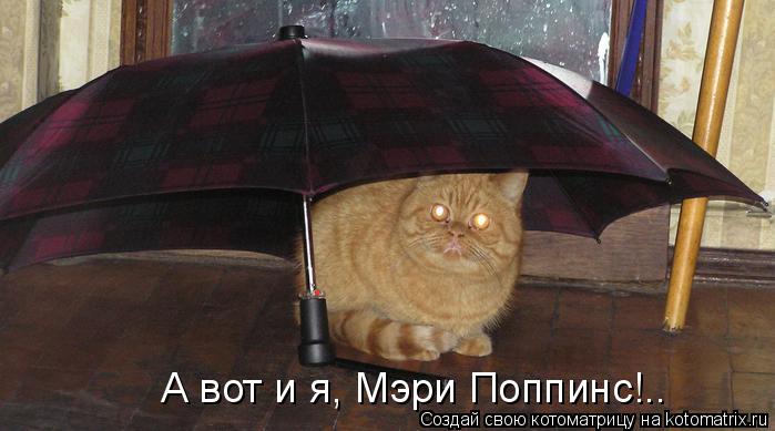 А вот и я, Мэри Поппинс!..... Котоматрица: А вот и я, Мэри Поппинс!..