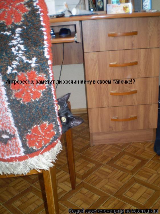 Интрересно, заметит ли хозяин мину в своем тапочке!?... Котоматрица: Интрересно, заметит ли хозяин мину в своем тапочке!?