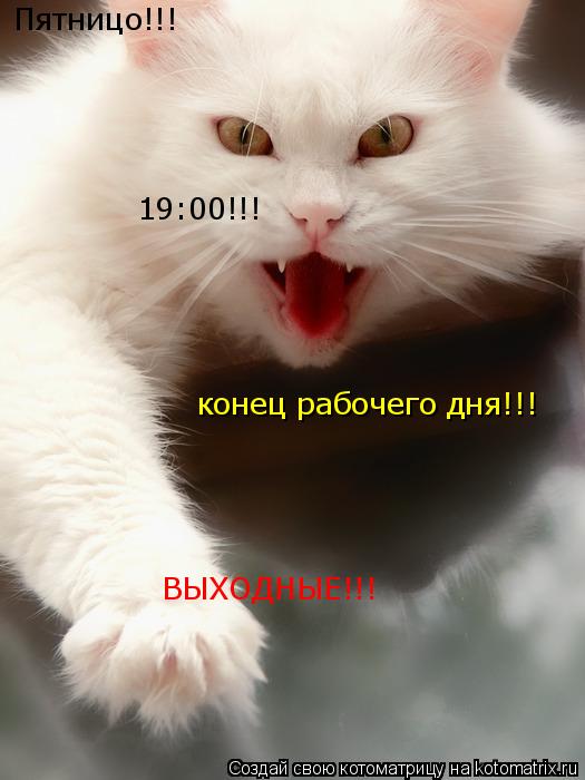 Пятницо!!! 19:00!!! конец рабочего дня!!! ВЫХОДНЫЕ!!!... Котоматрица: Пятницо!!! 19:00!!! конец рабочего дня!!! ВЫХОДНЫЕ!!!