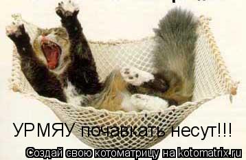Котоматрица: УРМЯУ почавкать несут!!!