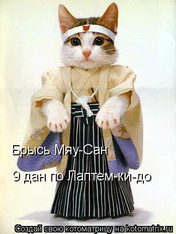 Котоматрица: Брысь Мяу-Сан 9 дан по Лаптем-ки-до