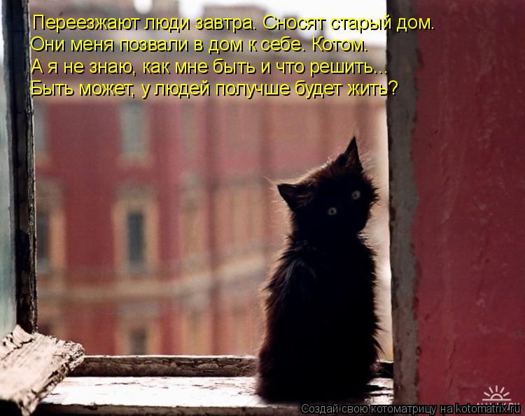 Переезжают люди завтра. Сносят старый дом. Они меня позвали в дом к себе. Котом. А я не знаю, как мне... Котоматрица: Переезжают люди завтра. Сносят старый дом. Они меня позвали в дом к себе. Котом. А я не знаю, как мне быть и что решить... Быть может, у людей пол